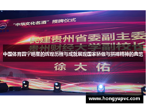 中国体育四字明星的辉煌历程与成就展现国家骄傲与拼搏精神的典范